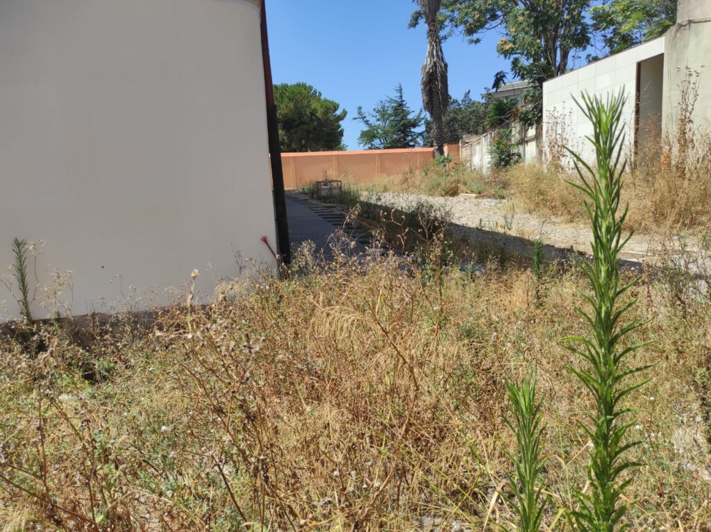 Degrado all'esterno dell'ex convento San Francesco di Oristano