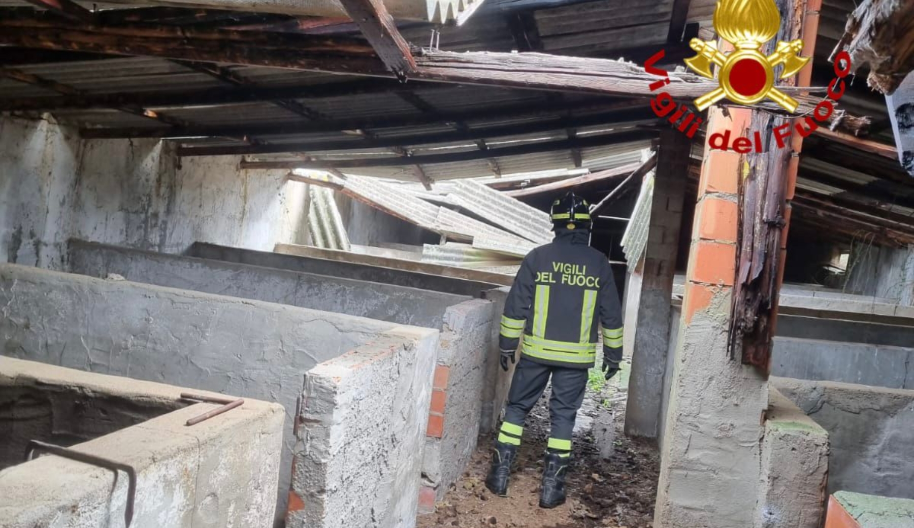 Maltempo, crollano due capannoni diversi animali morti a Lanusei