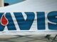 Avis