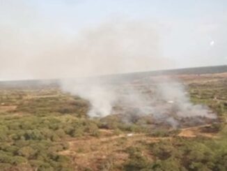 Incendio nelle campagne di Sagama