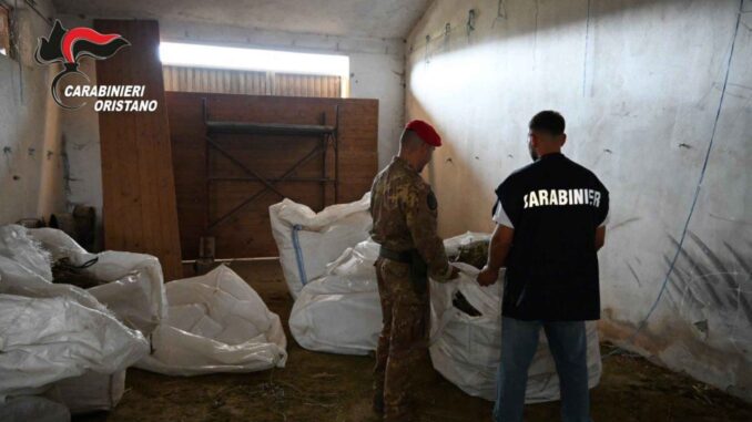 Maxi operazione antidroga a Villaurbana, 8 arresti