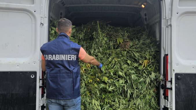 Blitz antidroga a Terralba, i nomi e cognomi degli arrestati