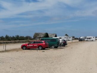 Ausiliari del traffico spiaggia area sosta Cabras